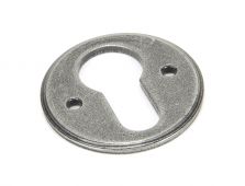 45122 From The Anvil Pewter Regency Euro Escutcheons