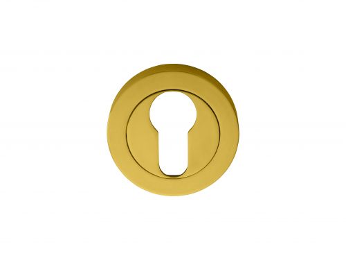 Click Here To Enlarge This Photo Of AA1 - Carlisle Brass Manital Euro Profile Escutcheon (Concealed Fix) Polished Brass