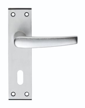 Click Here To Enlarge This Photo Of SAA60 - Carlisle Brass Eurospec Aluminium 'Mial' Lever on Lock Backplate