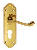 DL17Y - Carlisle Brass 'Ashtead' Lever Lock Furniture Euro Profile (47.5mm c/c) Polished Brass