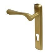 BLU Performance Regent Door Handle on Backplate, 92mm Centres, RH G316 Stainless Steel, PVD Satin Brass (REG090B-RH-PSB)