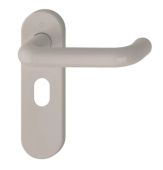 K138/353K (AR600/24) Hoppe Arrone Oval Profile Levers 48.5mm Centres on Radius Plate - (Nylon) Dove Grey - 8566577