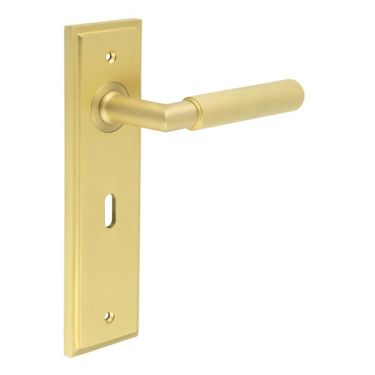 Click Here To Enlarge This Photo Of BUR40KIT243 Frelan Hardware Burlington Piccadilly Door Handles on 57mm Lock Backplate Satin Brass
