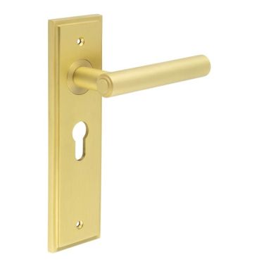 Click Here To Enlarge This Photo Of BUR45KIT245 Frelan Hardware Burlington Richmond Door Handles on 47.5mm Euro Backplate Satin Brass