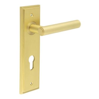 Click Here To Enlarge This Photo Of BUR45KIT246 Frelan Hardware Burlington Richmond Door Handles on 72mm Din Euro Backplate Satin Brass