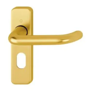 Click Here To Enlarge This Photo Of 138S/267U (AR200S/14) Hoppe Sprung Oval Profile Lock Levers 48.5mm Centres - Gold Anodised Aluminium (2698684)