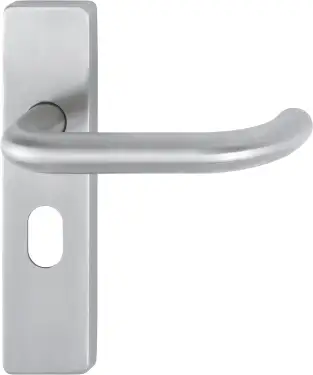 Click Here To Enlarge This Photo Of E138F/202K-A4 (AR361/14) Hoppe Oval Profile Levers 48.5mm Centres on Plate - Satin Stainless Steel (87100972)