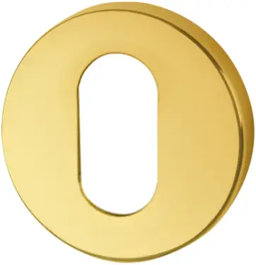 Click Here To Enlarge This Photo Of AR461/28 Hoppe Oval Profile Escutcheon - PVD Brass (87108566)