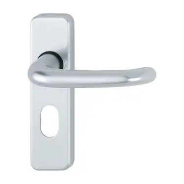 Click Here To Enlarge This Photo Of 173/266U-OZ Hoppe Strasbourg Oval Profile Lock Levers on Plate - Aluminium (3413556)