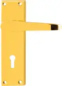 AR5000/12 Hoppe Victorian Straight Standard Key Lock Levers on Plate - Polished Brass (87115916)