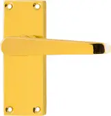 AR5000/11 Hoppe Victorian Straight Latch Levers on Plate - Polished Brass (87115909)